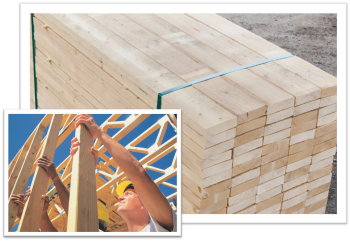 Sawn timber for construction/ carcassing